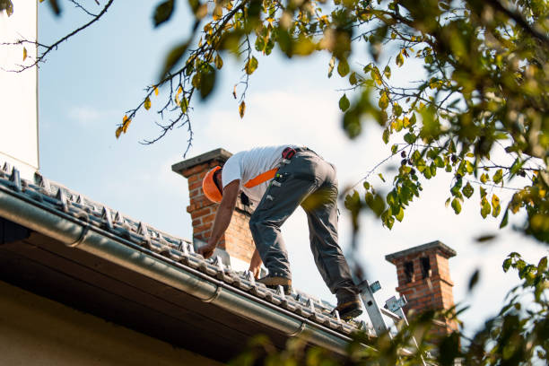 Best Roof Waterproofing Services  in Perkins, OK